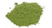 Gymnema Sylvestre Extract